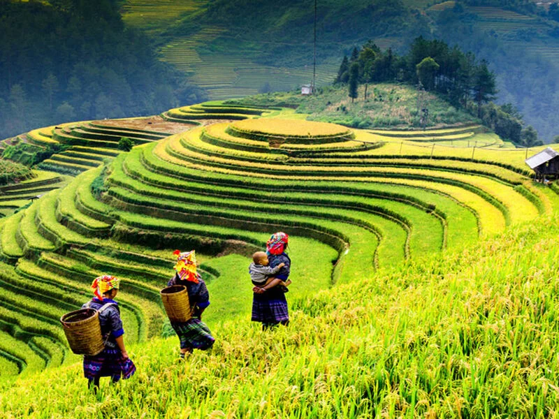 Tropik Asya İkilisi: Kamboçya & Vietnam